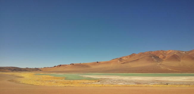 Altiplano lagoon